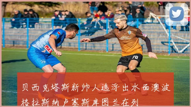 贝西克塔斯新帅人选浮出水面澳波格拉斯纳卢塞斯库图兰在列